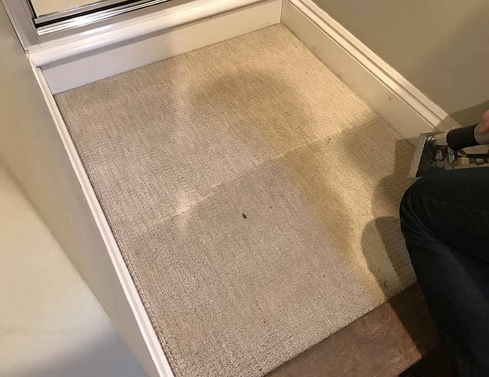 Residential Hall, Stairs and Landing Carpet Clean