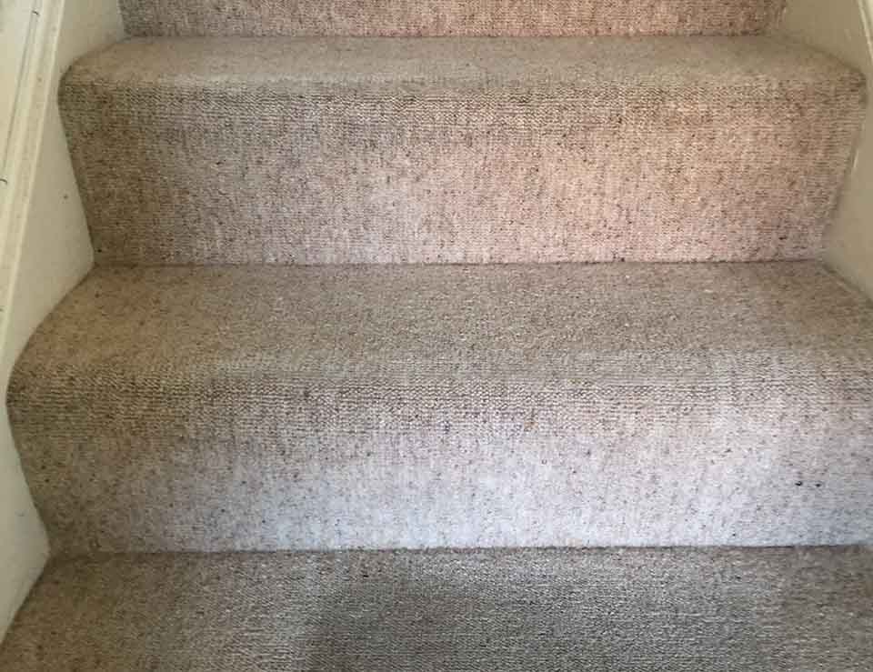 Residential Hall, Stairs and Landing Carpet Clean