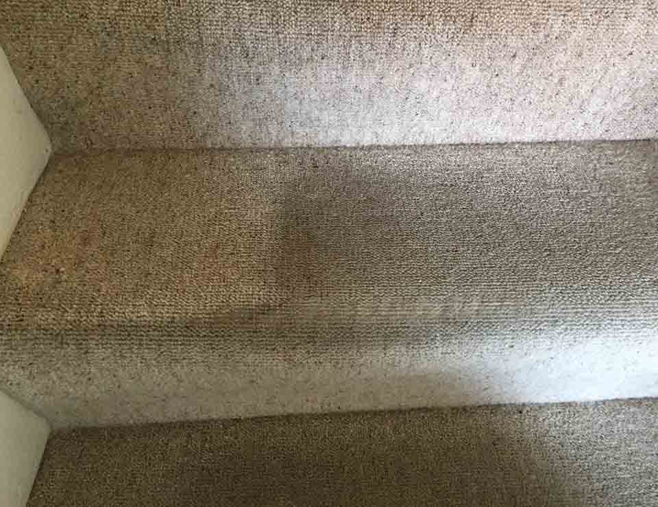 Residential Hall, Stairs and Landing Carpet Clean