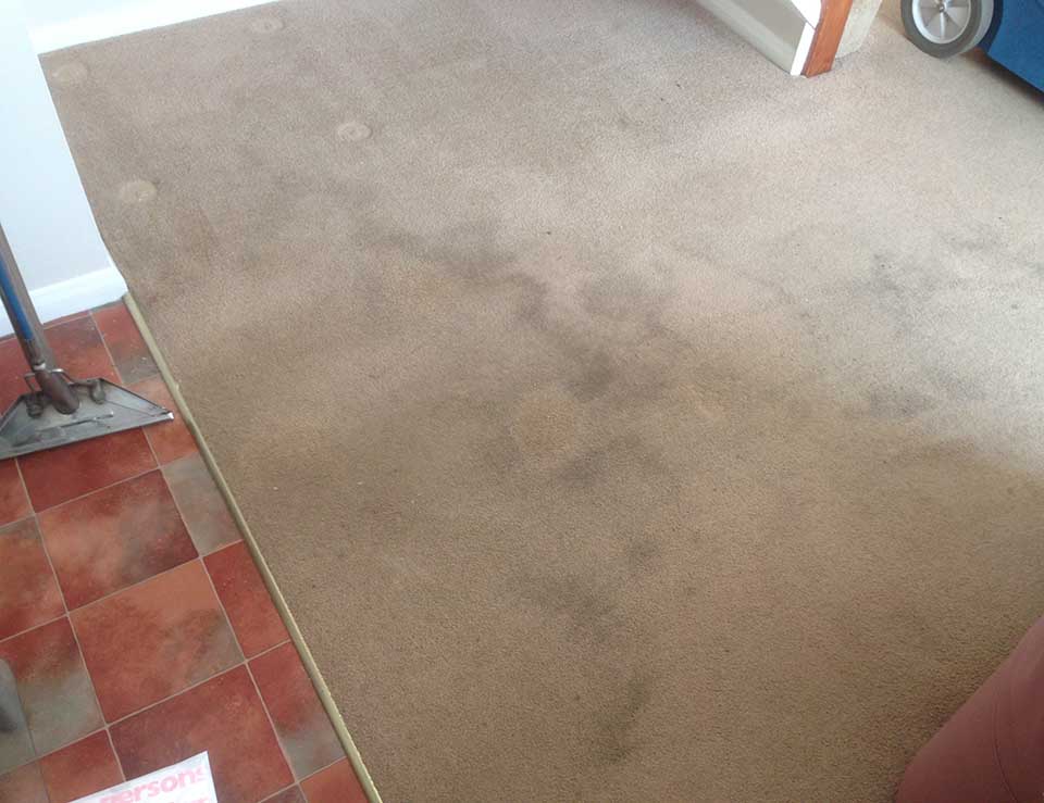 End of Tenancy Carpet Cleaning
