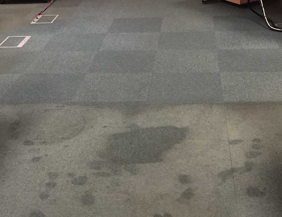 Commercial Carpet Cleaning